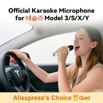 T1- Laico Vajoko-Auto-Karaoke-Mikrofon, Maga Mate, wiederaufladbares Karaoke-Mikrofon mit USB-A