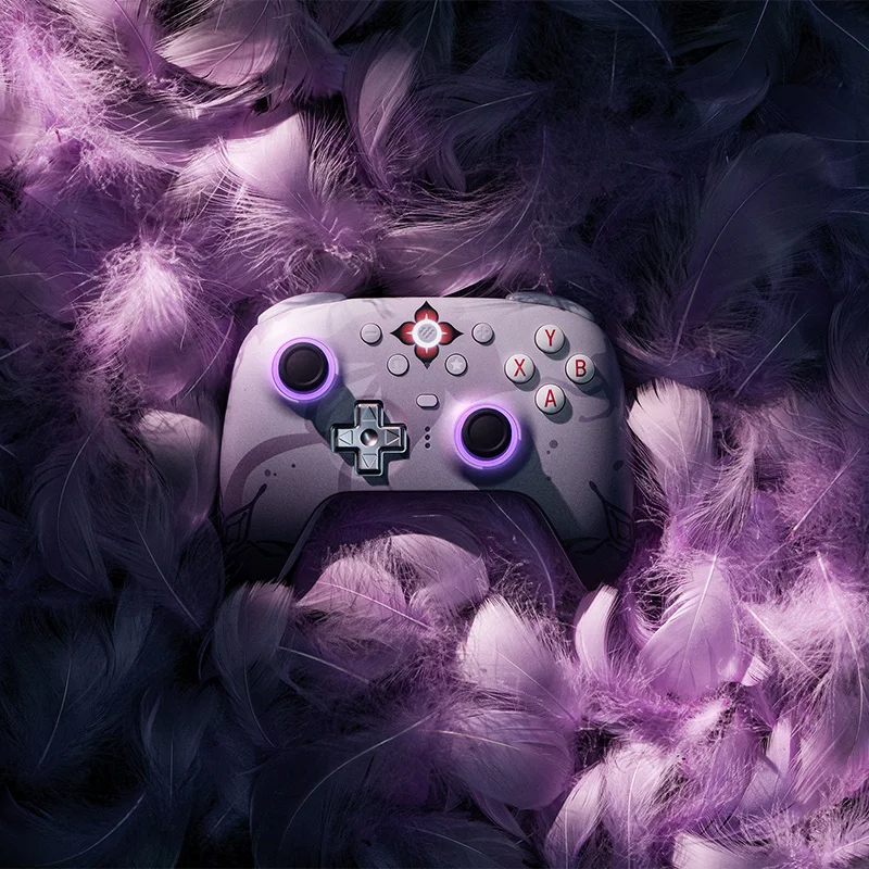 8BitDo Ultimate 2 Wireless Gaming Controller für PC und – Bild 5