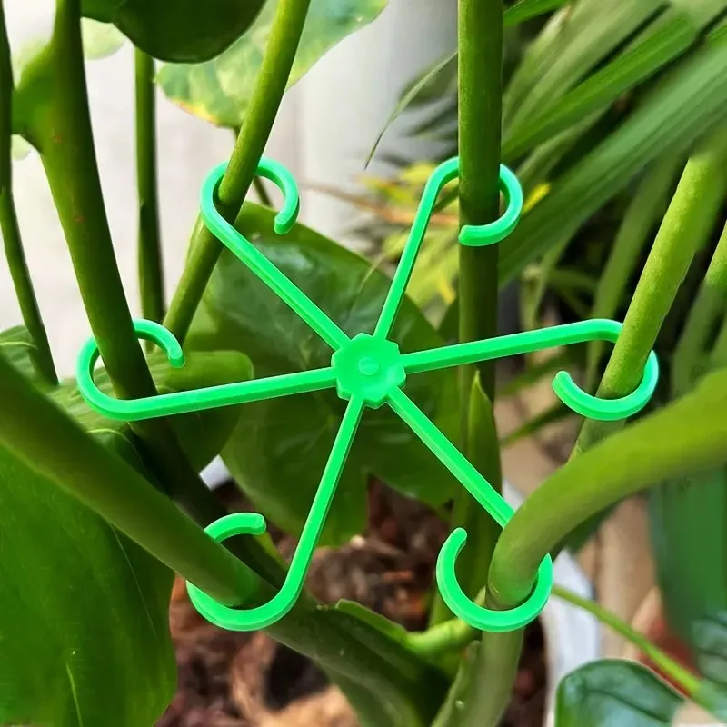 Blume Pflanze Stem Unterstützung Stakes Klettern