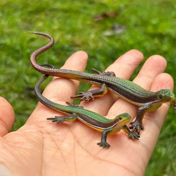 Realistische Reptil Eidechse Chamäleon Geckos Insekt Tiere Modell Action Figure Sammlung Spielzeug Kinder