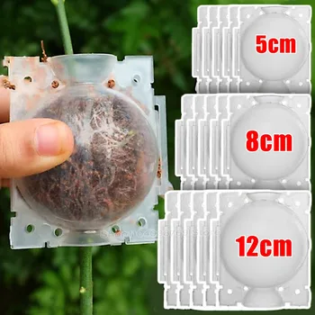 Luft Schichtung Pods Pflanze Verwurzelung Ball Hochdruck Vermehrung Wurzel Wachsen Box Graft Zucht Wachsen