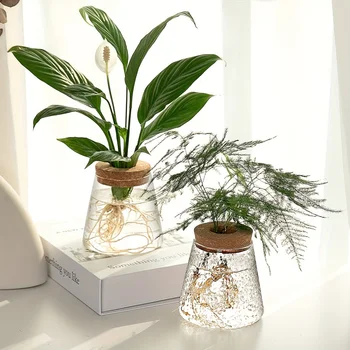 Glas Pflanzer Vermehrung station Vase Rack Tischplatte Hydro ponik Pflanzen Stecklinge Büro Home Dekoration