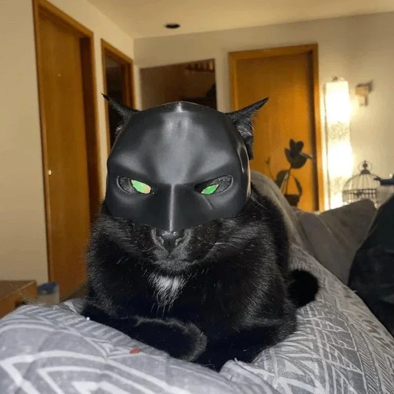 Katzen-Rächer-Maske Fledermaus Halloween 3D-Gedruckte – Bild 3