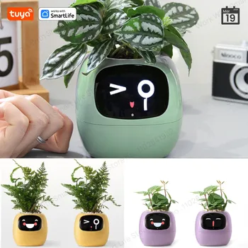 Tuya Gen1 Ivy Smart Planter, Endloser Spaß mit über 49 reichhaltigen Ausdrücken, 7 intelligente Sensoren