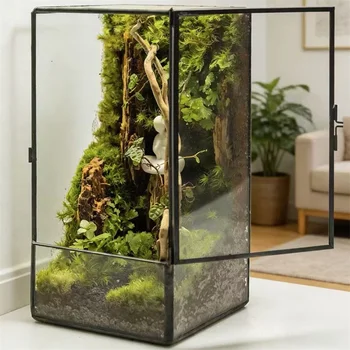 Mikro-Landschaft Regenwald Ökologisches Quadratisches Geometrisches Glas-Terrarium Moos-Pflanzen Glasvase
