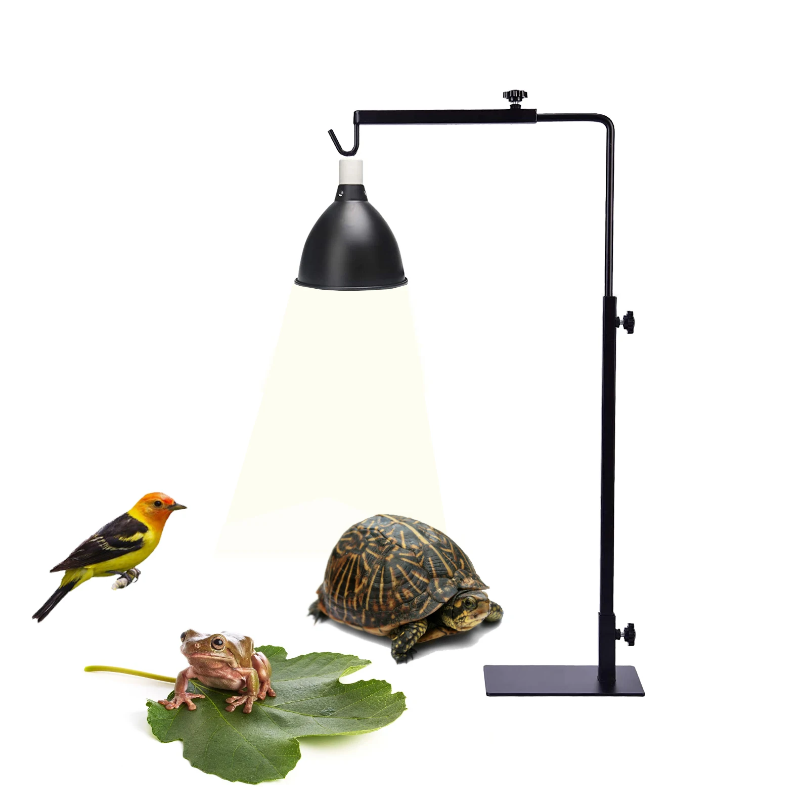 Verstellbarer Reptilien-Lichtständer, 15-25 Zoll, Geeignet – Bild 2