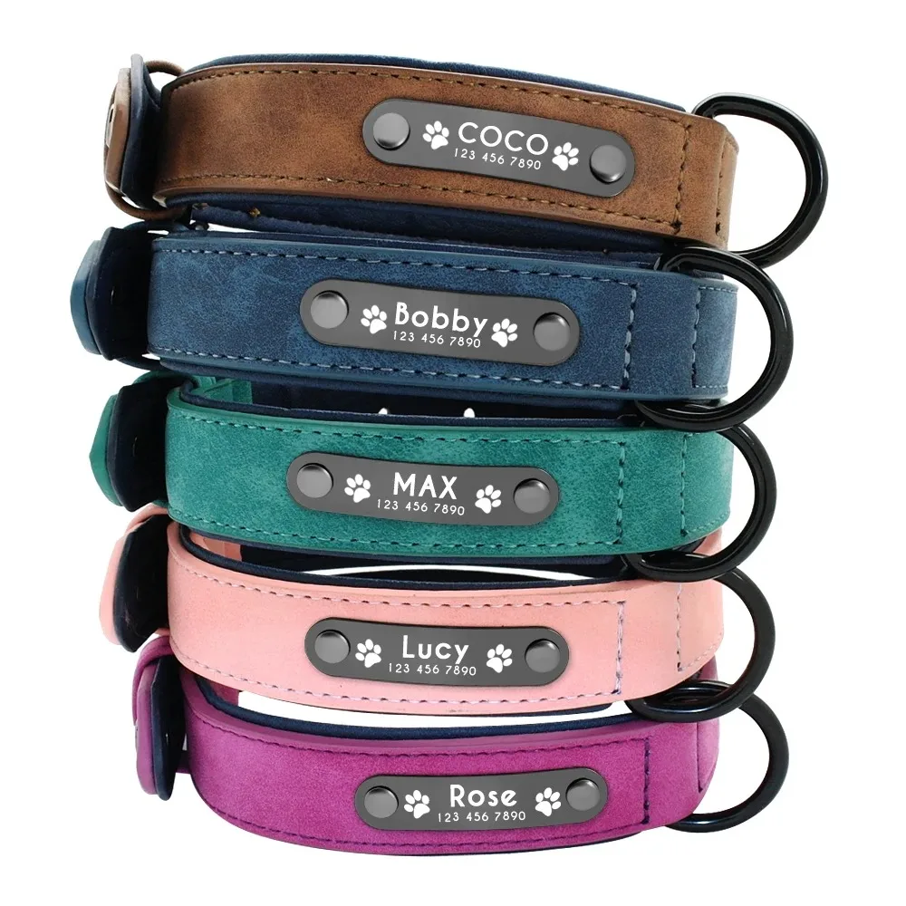 Personalisierte Namens-ID-Tags, Hundehalsbänder