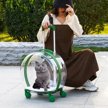Trolley-Kofferträger, transparente Tragetasche für Haustiere, Transportwagen für Katzen und Kinderwagen