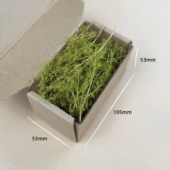 Trockenes Gras Modellbausatz Quinoa Pflanze Diy Militär Sandtisch Szene Materialien für Diorama HO