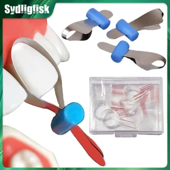 Dental Twin Anterior Matrix Kieferorthopädische Schnittkonturierte Metallmatrizen Polyestermatrize