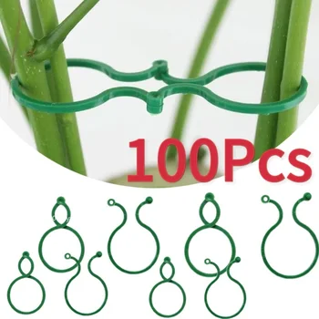Garten Pflanze Clips Für Gemüse Wachsen Aufrecht Anlage Halter Grün Kunststoff Gebündelt Ring Garten Ständer