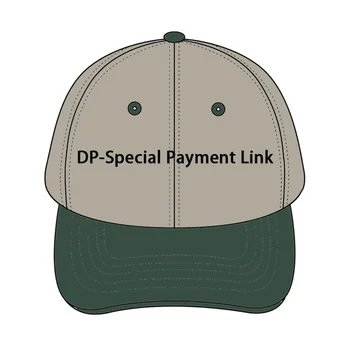 DP-Spezial-Zahlungslink
