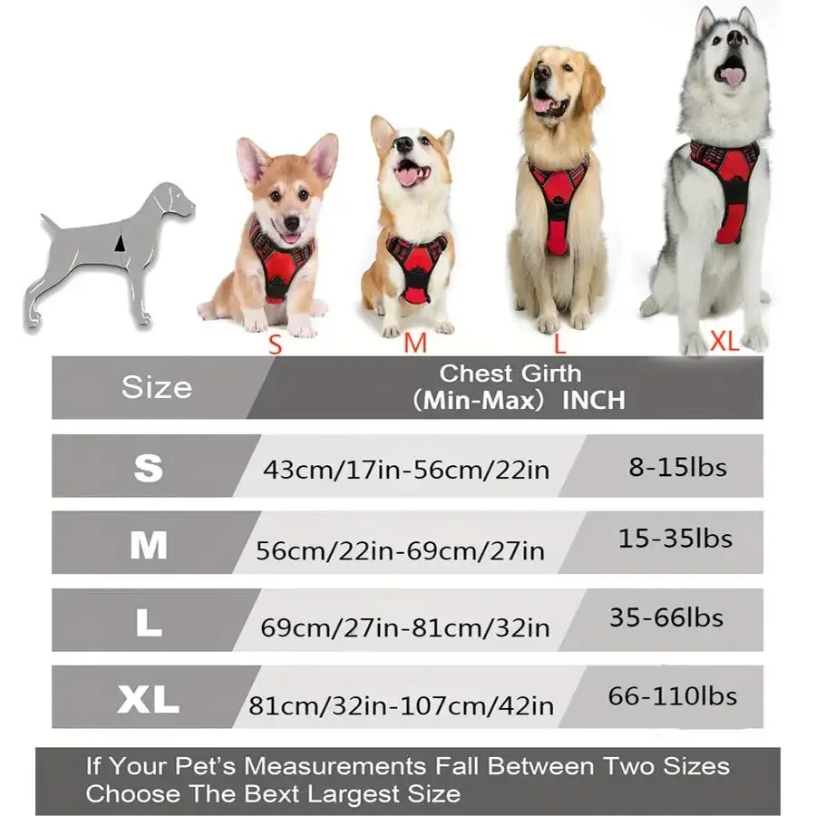 Hundehalsbänder, Geschirr, große Westen, Leine, Tierhandlung – Bild 6