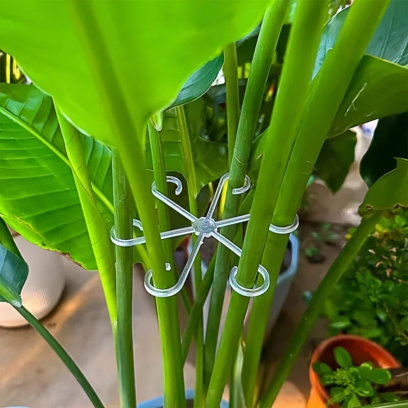 Blume Pflanze Stem Unterstützung Stakes Klettern – Bild 2
