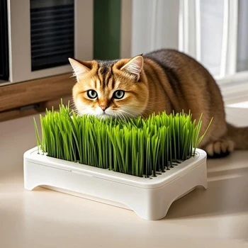 Haustier Katze Gras Pflanzbecken Soilless Kultur Weizen Sämling Topf Kätzchen Gras Hydrokultur Gerät Gartenbau