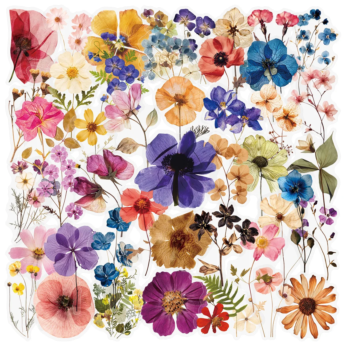 50/200PCS Transparente PET Blume Pflanzen Material Aufkleber