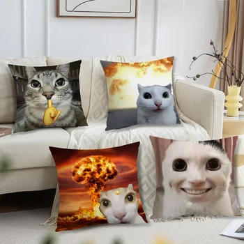 Kissenbezug, bequem, weich, mit Katzenmotiv, lustiger Kissenbezug, Sofa, Meme, Wohnzimmer, Zuhause, Geschenk