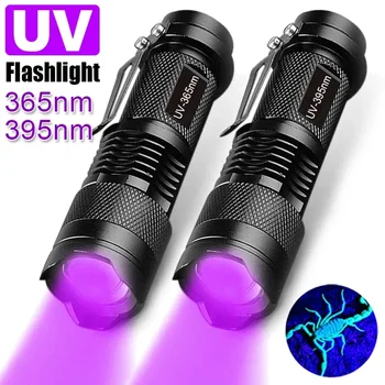 395/365nm UV Taschenlampe LED Uv Taschenlampe Zoombare Mini Ultra Violet Lichter Inspektion Lampe Haustier