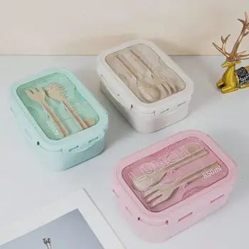 Lunchbox, Lunchbox, Büroangestelltertag, einfarbig, quadratisch geformt, mit Geschirr versiegelt, Essensbox