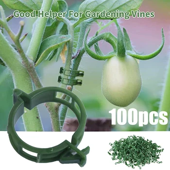 Pflanzenstützklammern, Kunststoffbinder, Spalier, Pfahlklammern, für Garten, Gemüse, Tomaten (100 Stück)