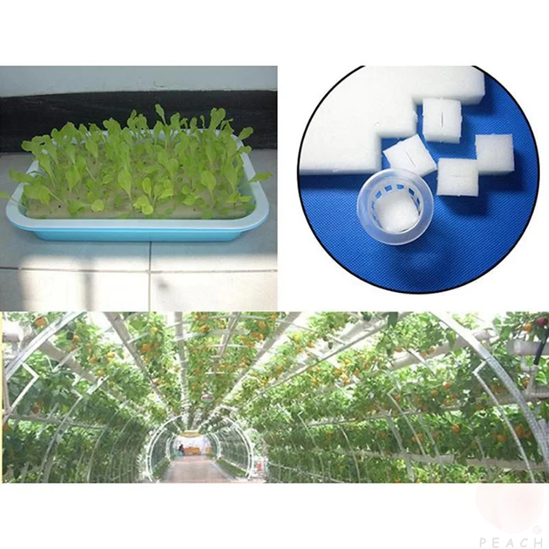 100 Stück/Blatt Hydroponischer Pflanzenschwamm – Bild 5