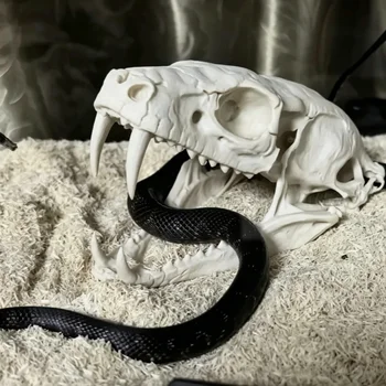 Reptilien-Vivarium Landschaftsornamente, Kobra-Schädel-Skulptur als Heimdekoration, Geschenk