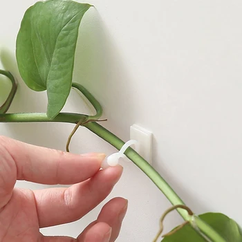 Home Garten Pflanze Klettern Wand Halterung Clips Rattan Reben Fixer Selbst-Kleber Anlage Klettern (10 Stück)