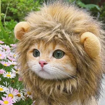 Süße lustige Haustiere Kleidung Kappe süße Katze Perücke Löwe Mähne Kostüm Cosplay Kätzchen Hund Hut mit Ohren