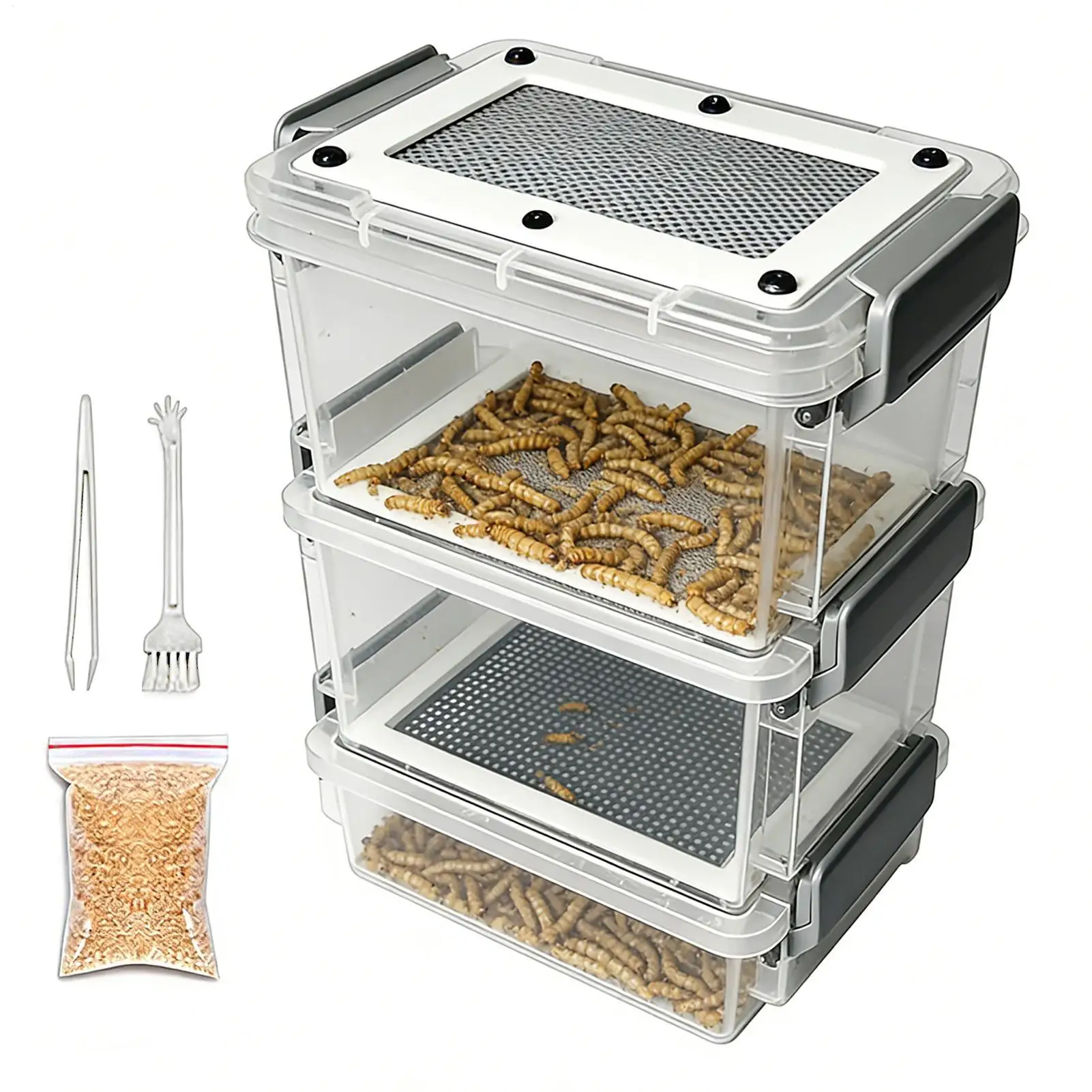 Reptilien-Fütterungsbox Transparente