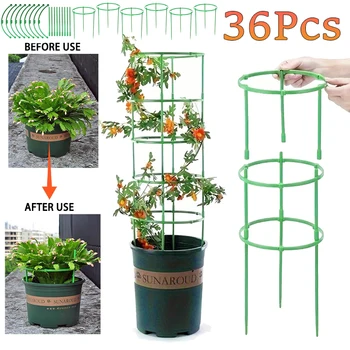 Pflanzenstützpfähle Halbkreis Spalier für Topfpflanzen Bonsai Weinrebe Blumenstütze Feste Stangenklammern