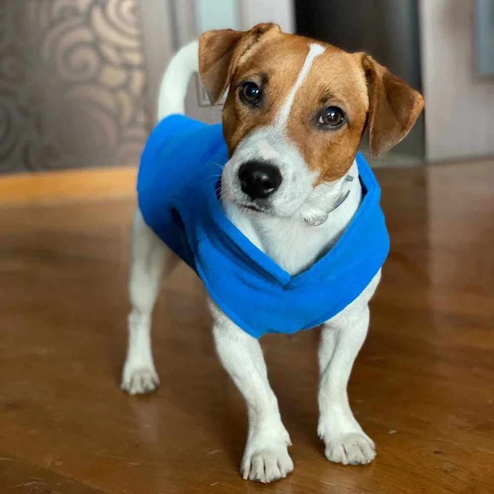 Warme Fleece-Hundekleidung, Hundejacke, Weste mit D-Ring für – Bild 4