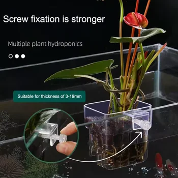 Fischblasen Aquarium Wasser Gras Tasse Mehrere Pflanzen Hydrokultur Pflanzkorb Für Aquarium Landschaft