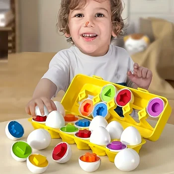 Farb- und formlich passendes Spielzeug, simulierte Eierformen mit Aufbewahrungsbox - geometrisches Form