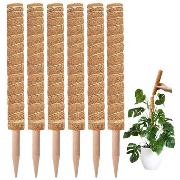 Grenzüberschreitender Garten-Kokosnuss-Stick, grüner Topf, feste Pflanze, Kletterstock, Blumenstütze