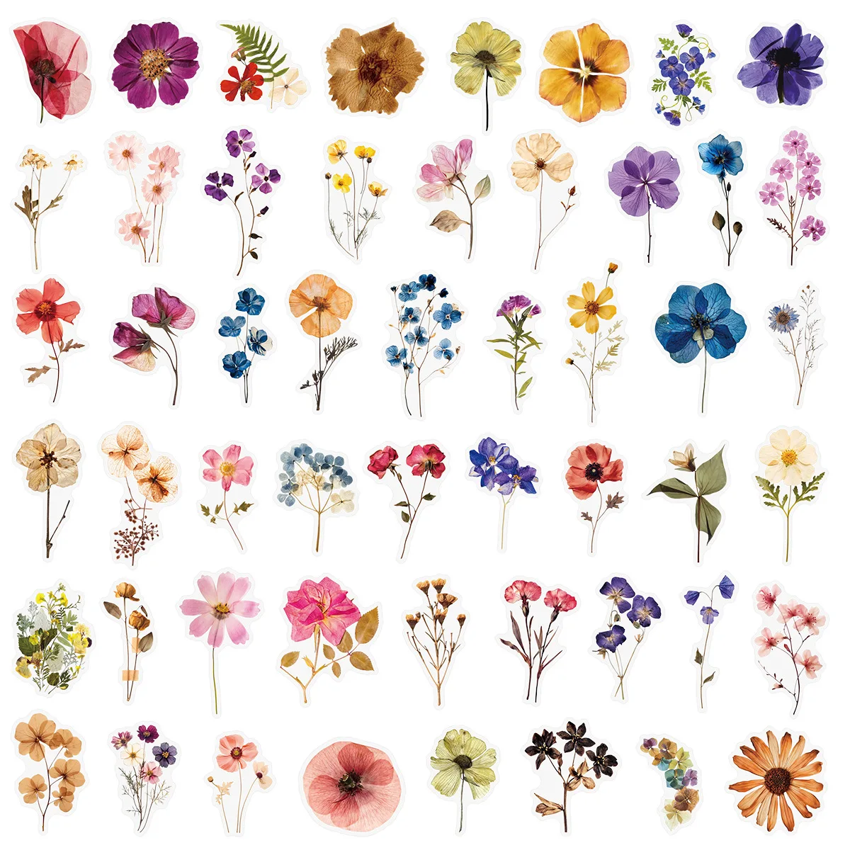50/200PCS Transparente PET Blume Pflanzen Material Aufkleber – Bild 2