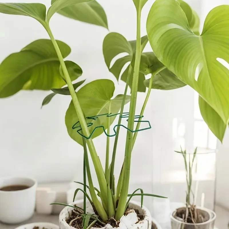 1 Stück großer Monstera-Pflanzenstützrahmen, robuste – Bild 5